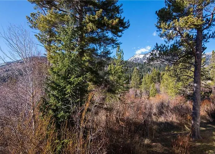 Rmr: Sarvisberry 3022 In The Aspens Wilson