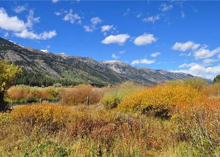 Rmr: Sarvisberry 3022 In The Aspens *